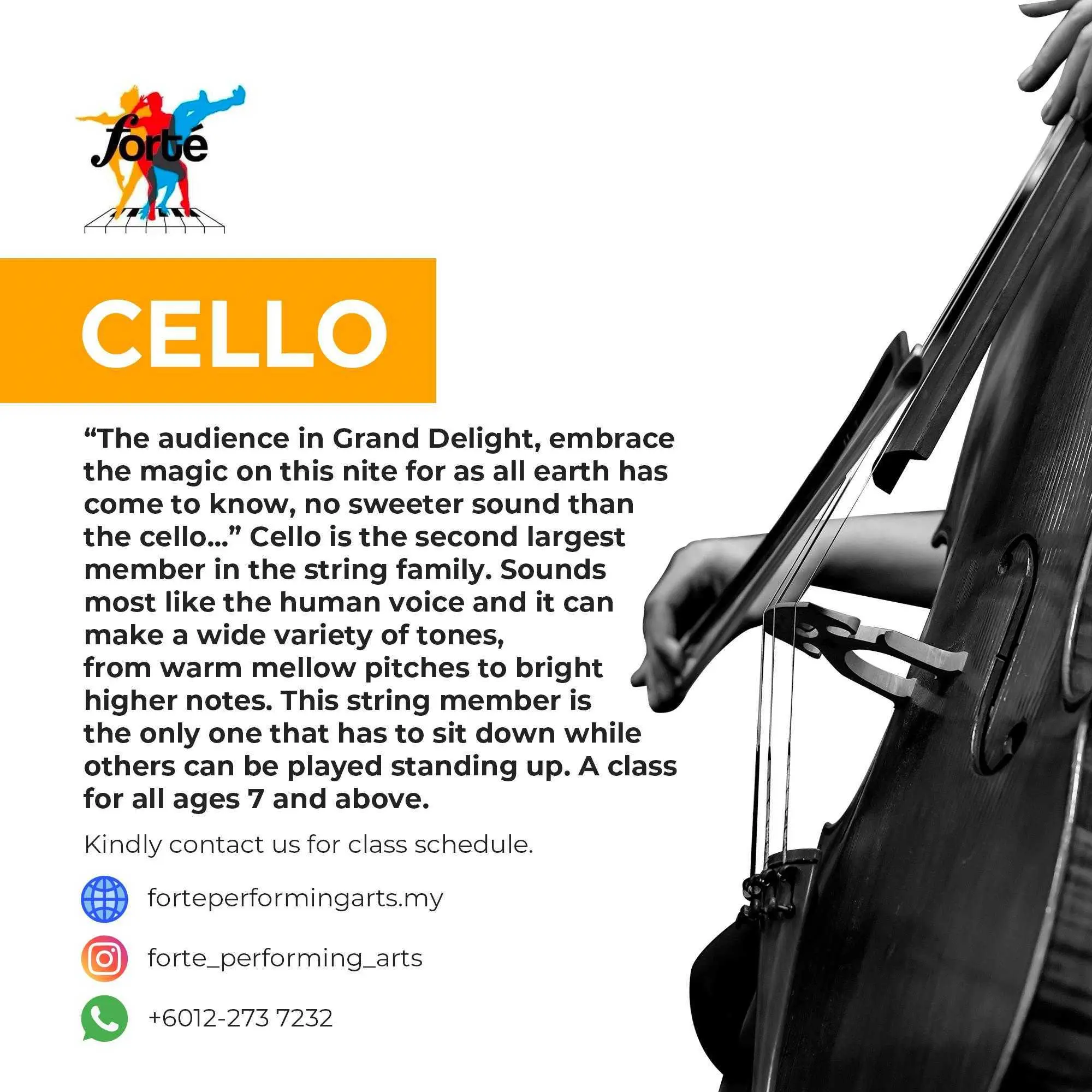 Forte Performing Arts Cello